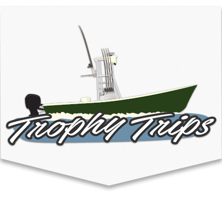 Clearwater Inshore Fishing Charters & Guide Service
